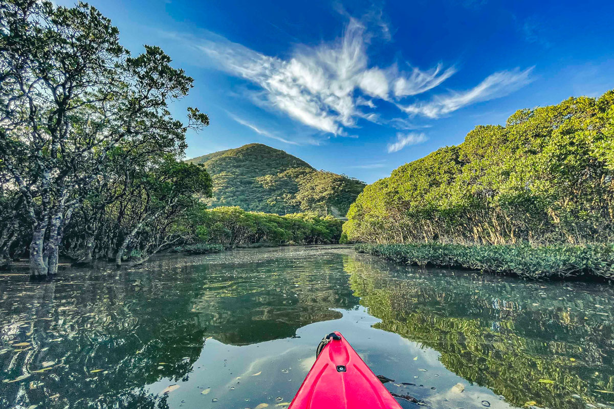 amami nature guide - river kayak 1